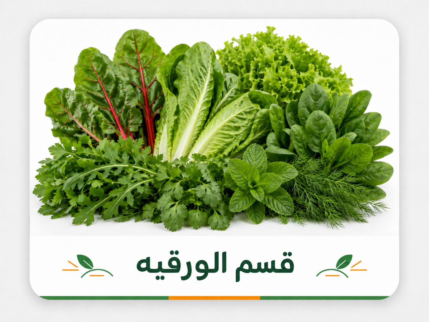 قسم الورقيه