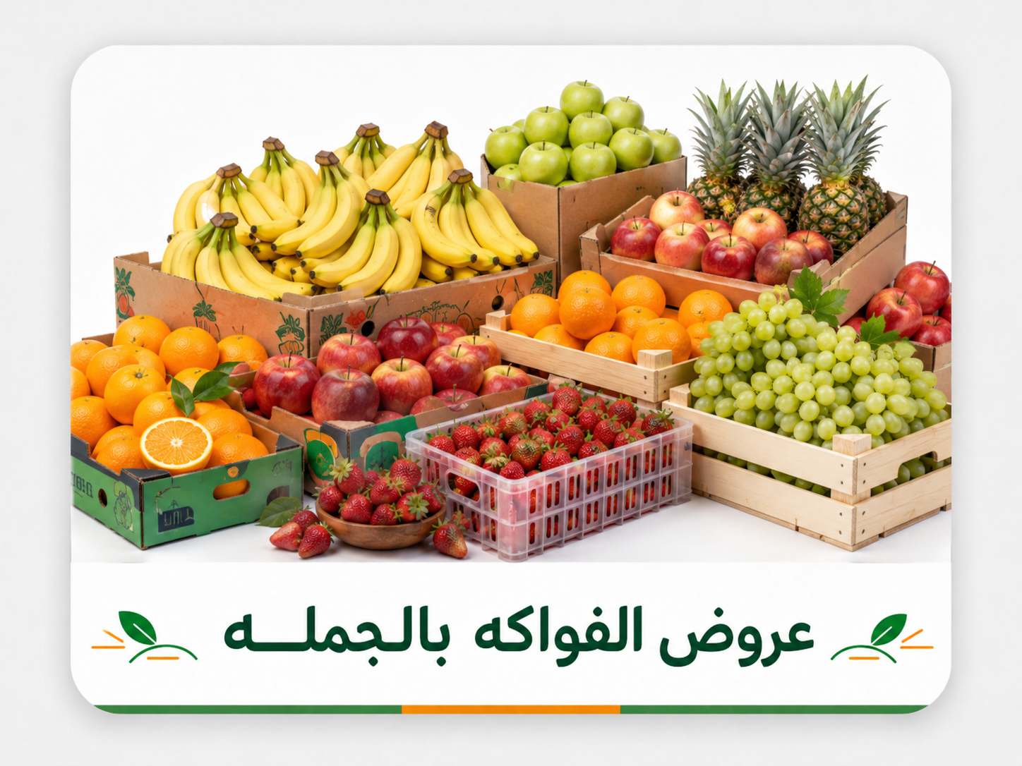 قسم الفواكه بالجمله